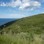 Cartografia aib Puglia p