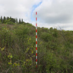 Palo colorato per certificazioni forestali